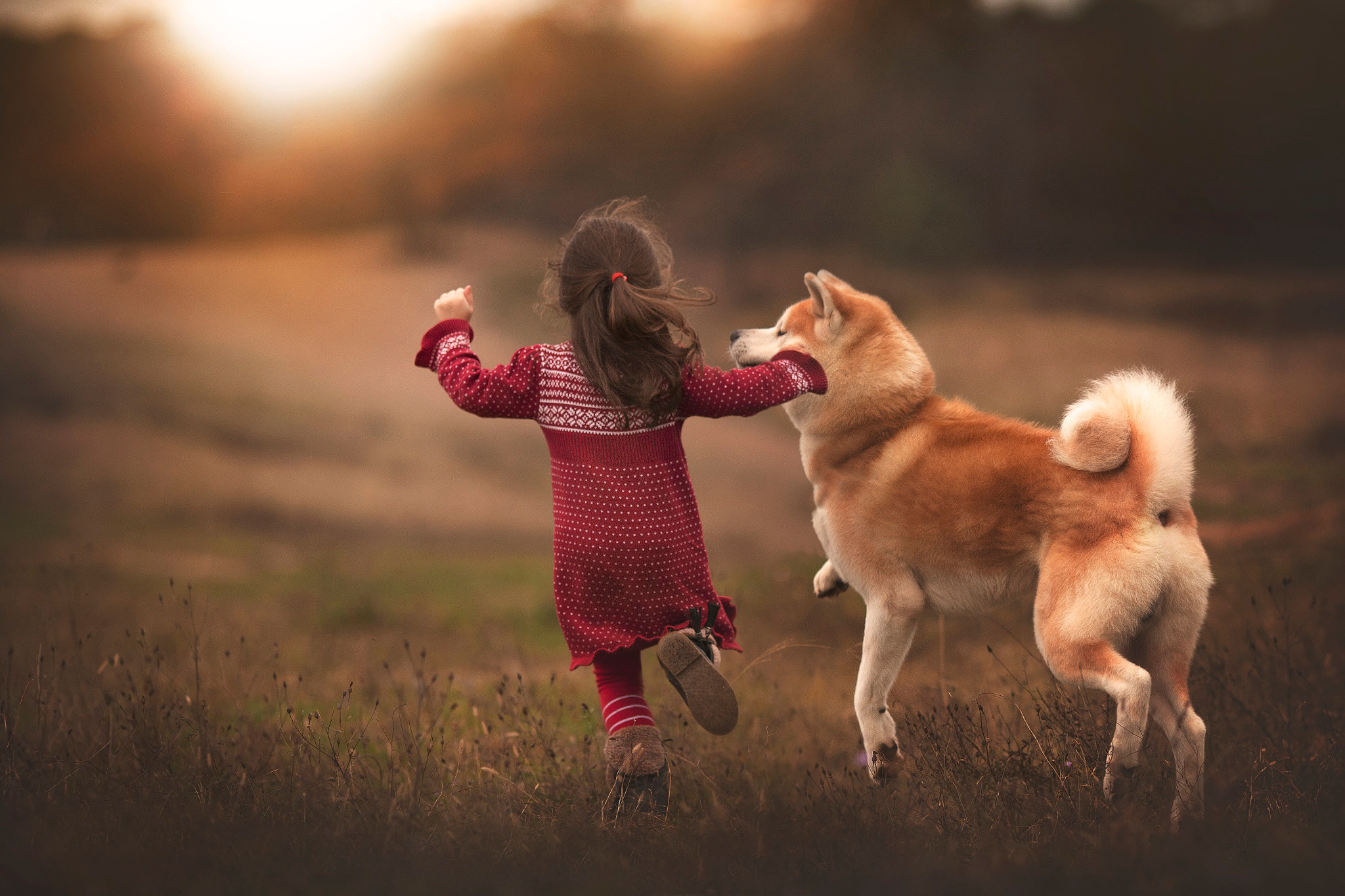 Girl And Dog Wallpapers Wallpaper Cave