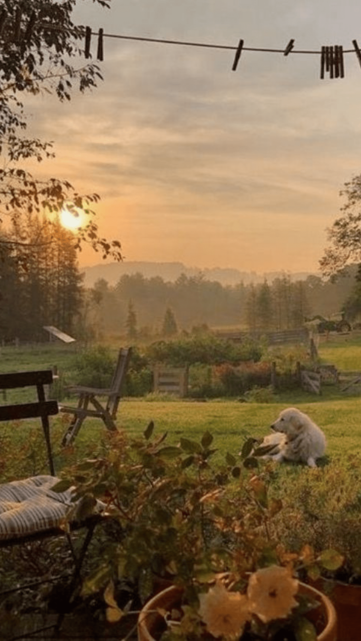 Cottagecore Spring Wallpapers Wallpaper Cave