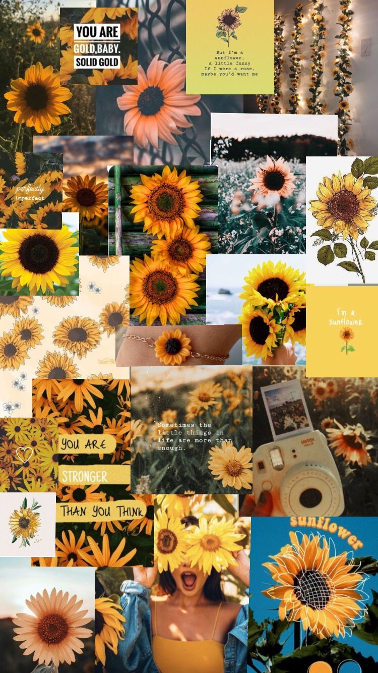 Aesthetic Sunflower Wallpaper Collage Outlet Here www.oceanproperty.co.th