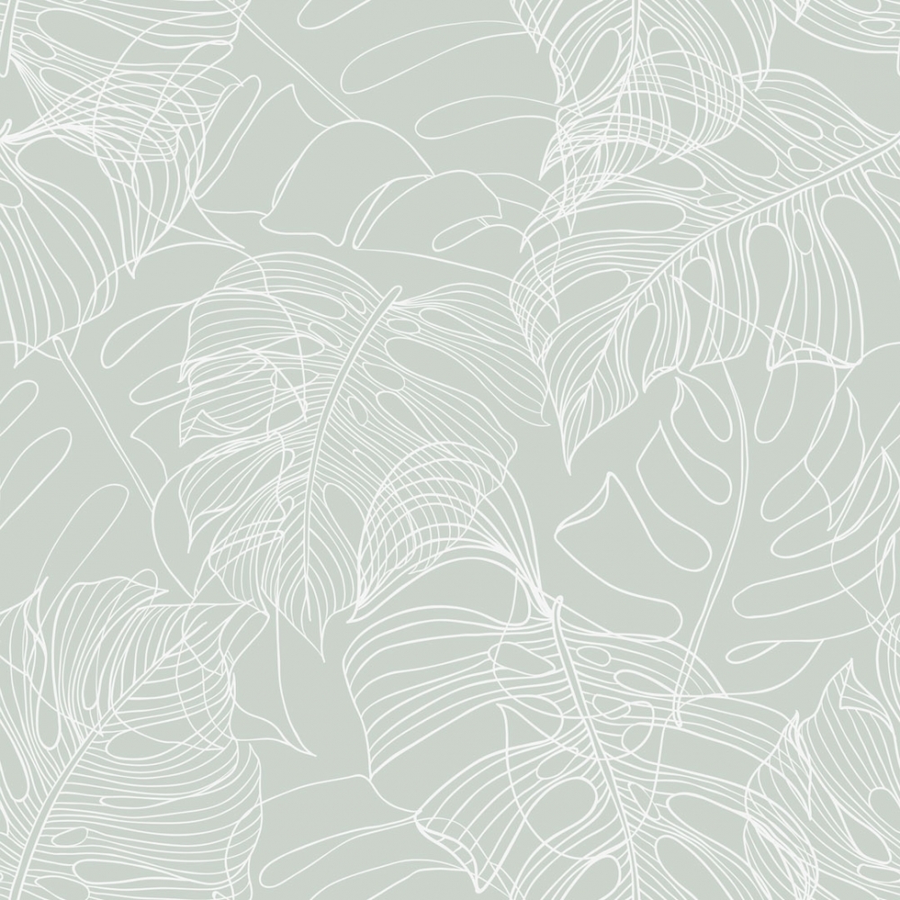 White And Sage Green Wallpapers Wallpaper Cave