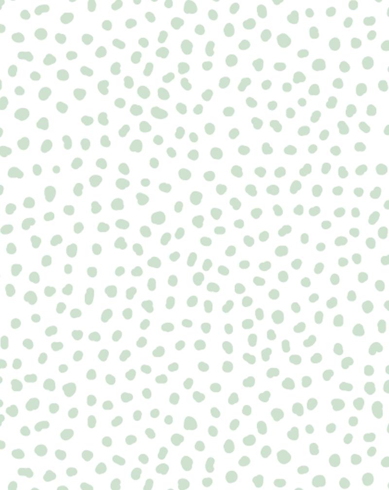 White And Sage Green Wallpapers Wallpaper Cave