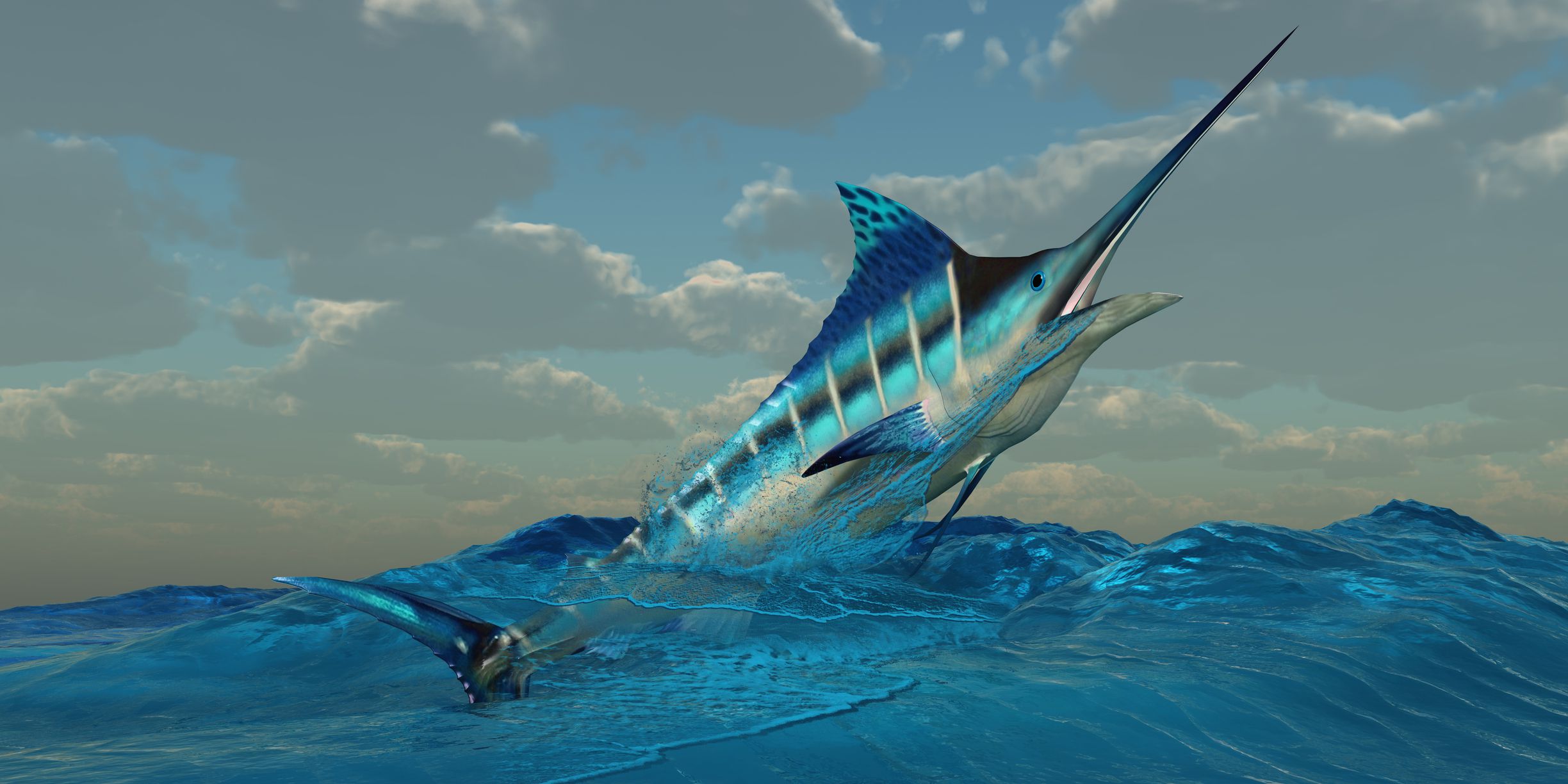 Atlantic Blue Marlin Wallpapers Wallpaper Cave