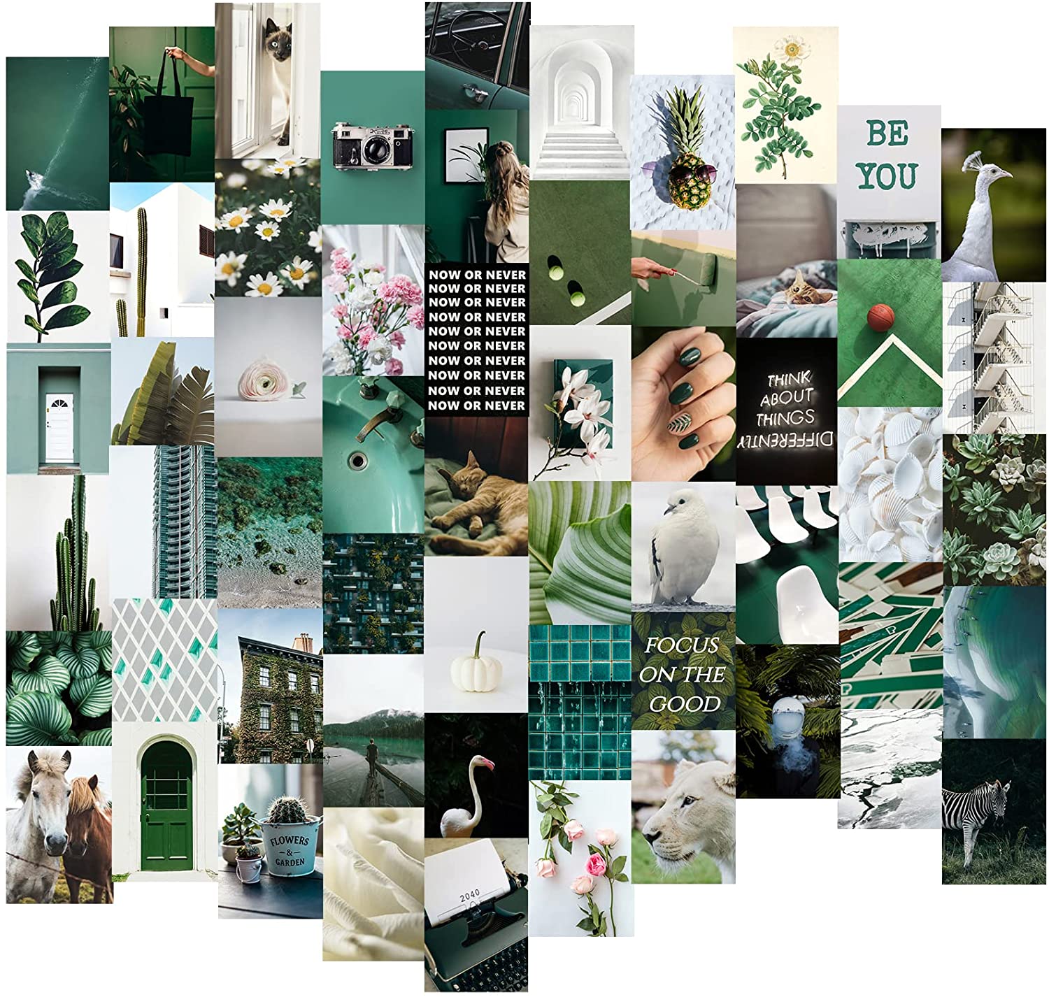 Dark Sage Green Collage Wallpapers Wallpaper Cave