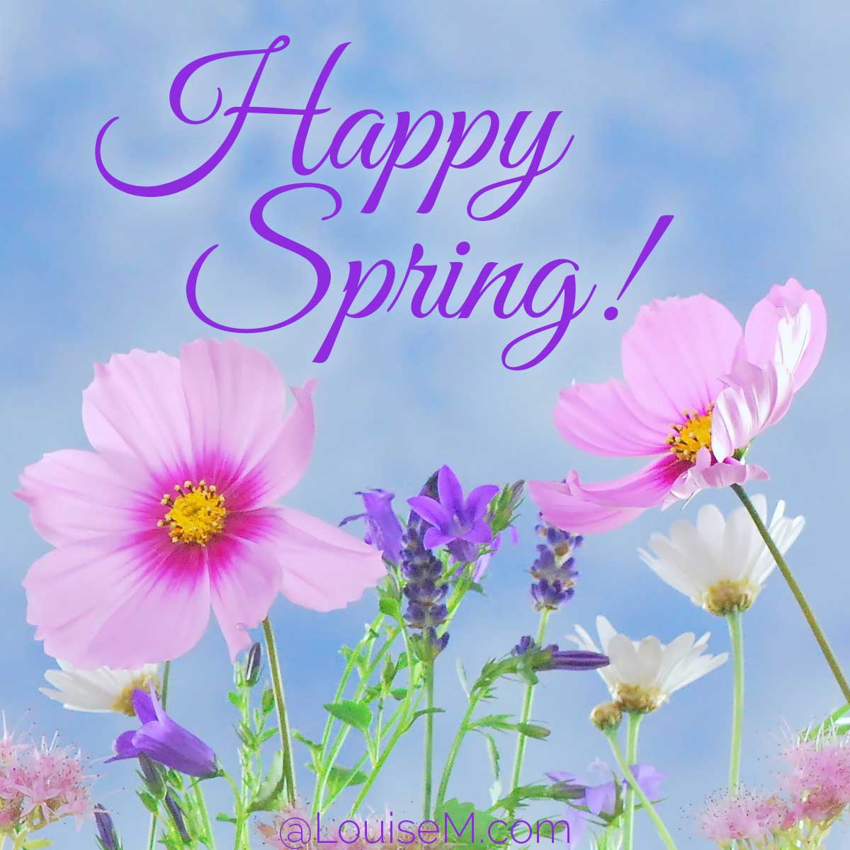 When The First Day Of Spring 2022 Happy Spring 2022 Wallpapers - Wallpaper Cave