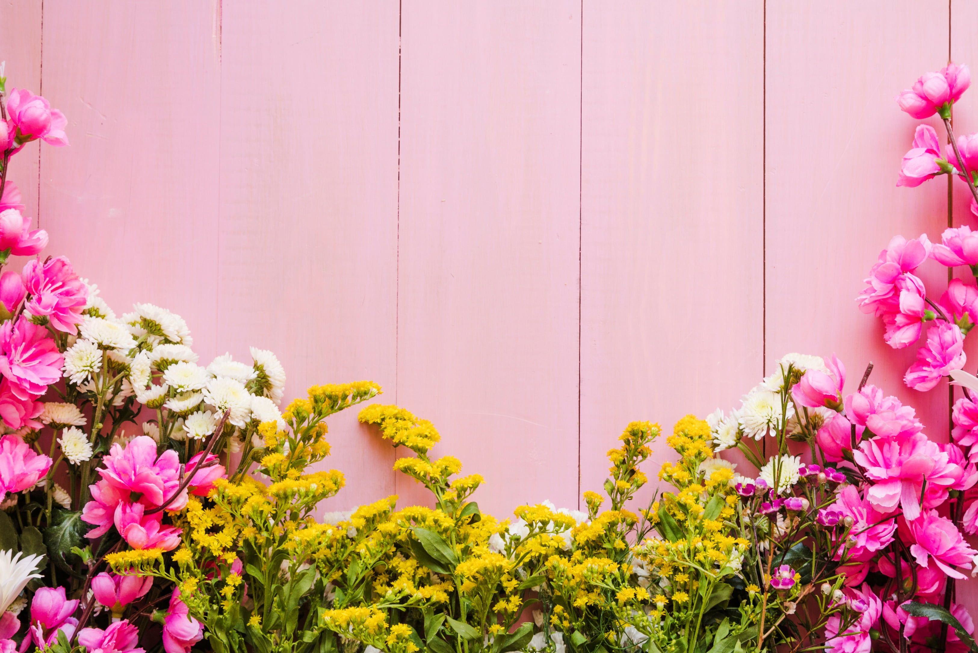 Wooden Spring Wallpapers Wallpaper Cave