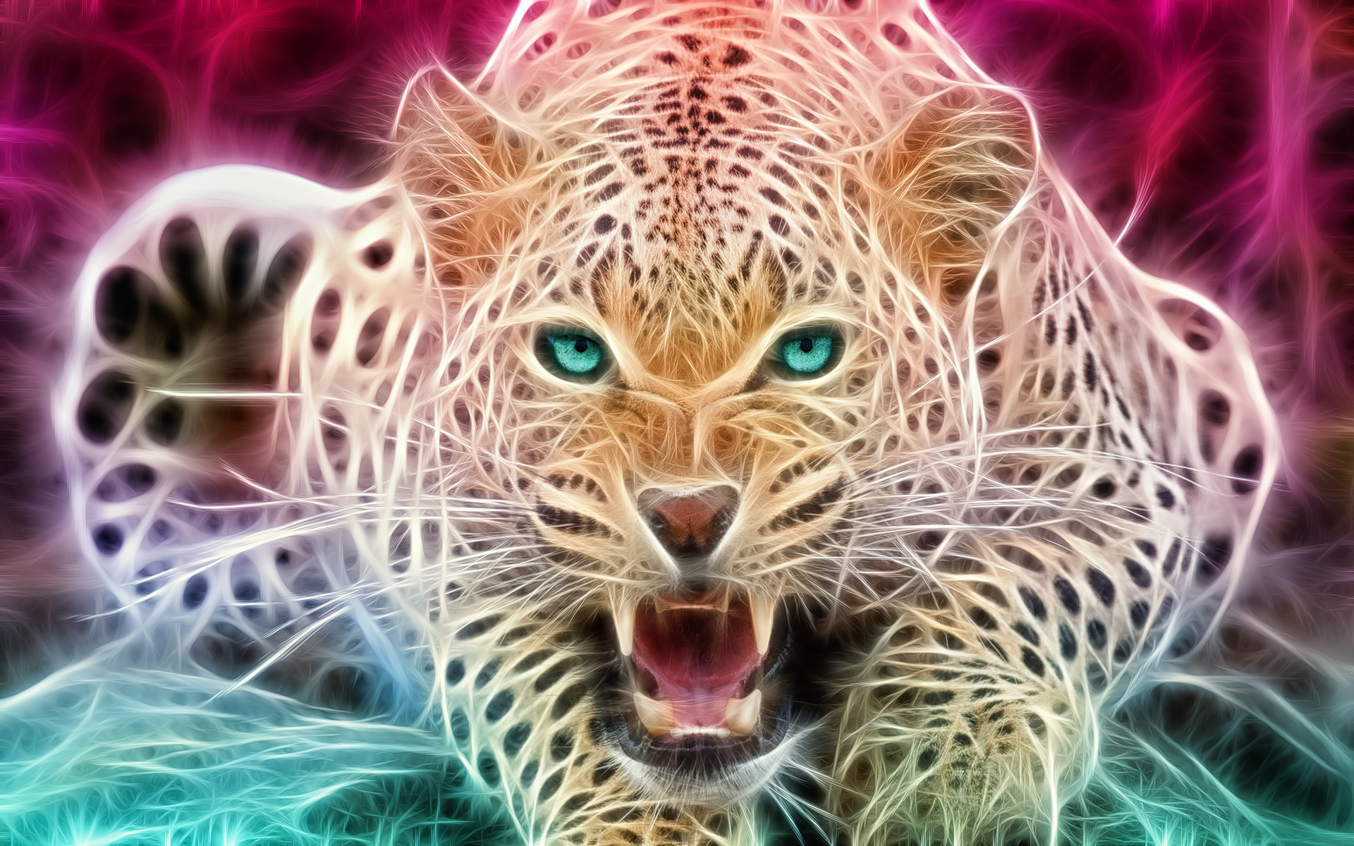 Cool Cheetah Wallpapers Wallpaper Cave