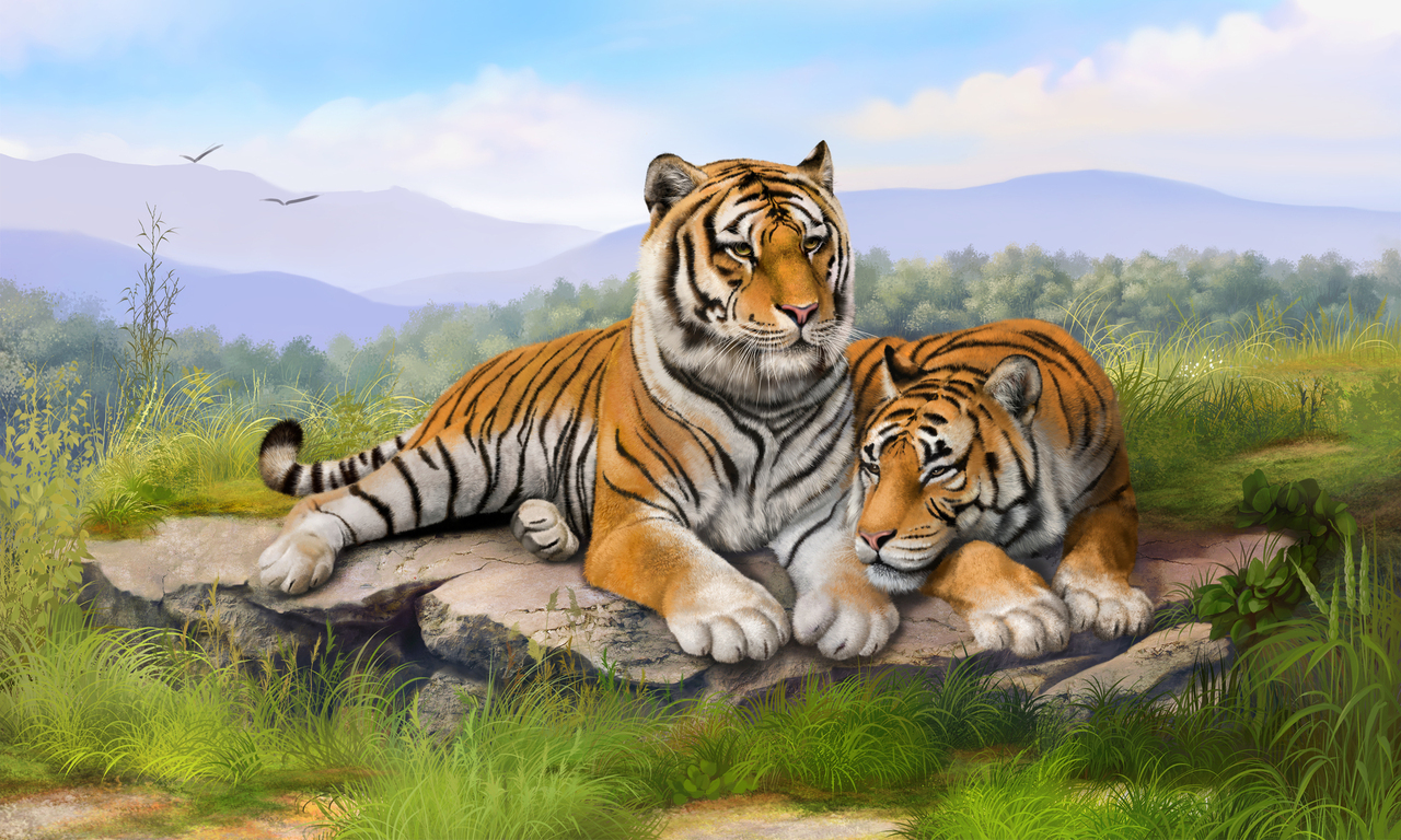 Tiger Family Wallpapers Wallpaper Cave