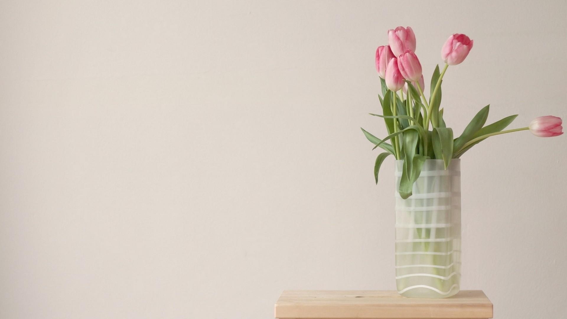 Spring Flower Minimalist Wallpapers Wallpaper Cave