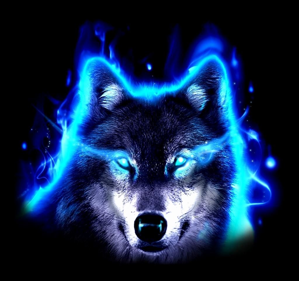 Neon Blue Wolf Wallpapers Wallpaper Cave