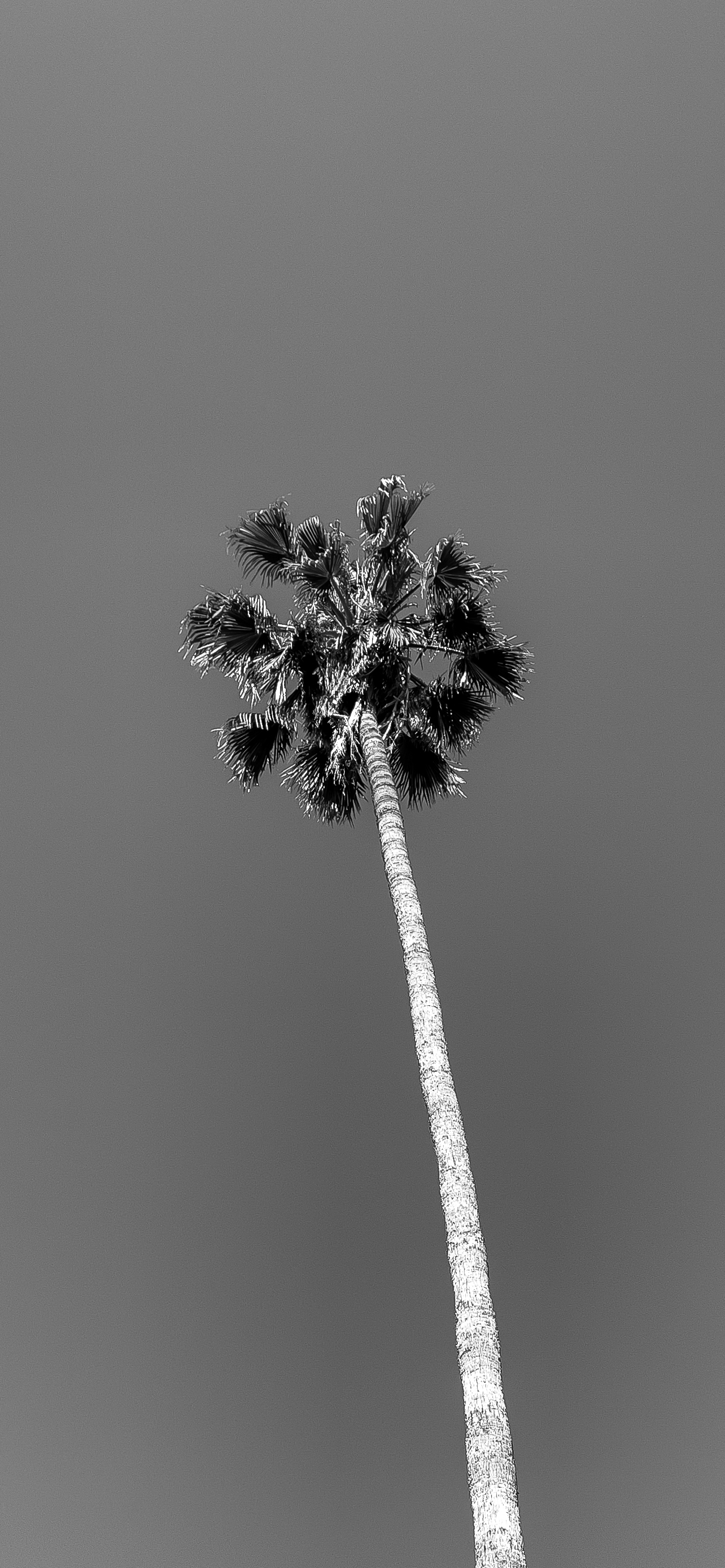 iPhone 12 Pro Max Dark Wallpapers Wallpaper Cave