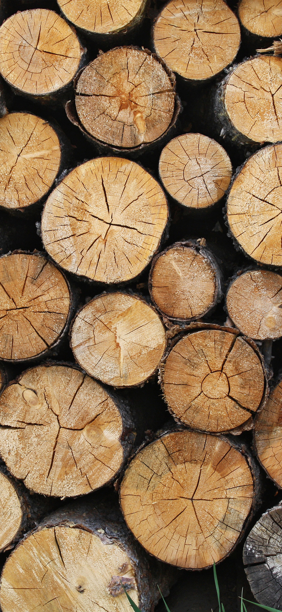 iPhone 11 Wood Wallpapers Wallpaper Cave