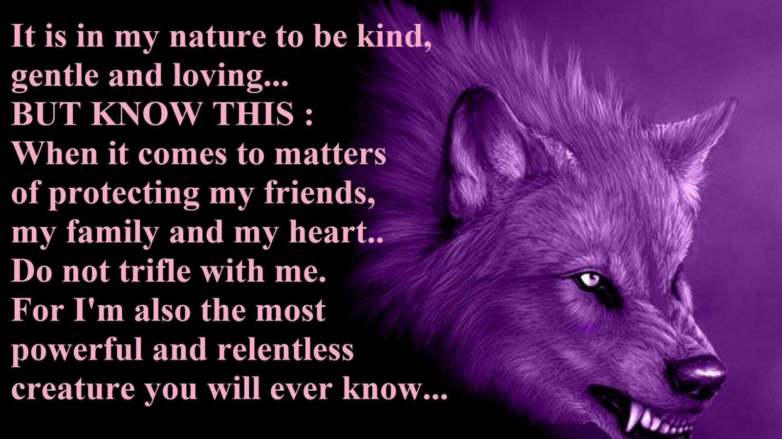 Cute Wolf Quotes Wallpapers Wallpaper Cave