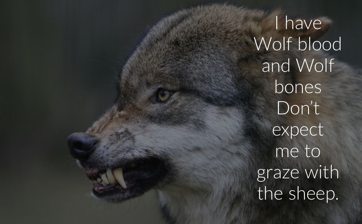 Cute Wolf Quotes Wallpapers Wallpaper Cave