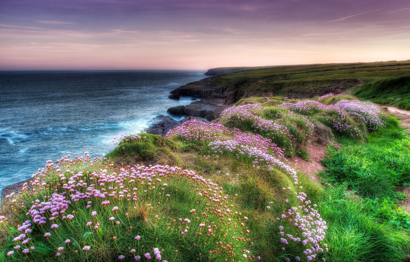 Flowers At The Ocean Wallpapers Wallpaper Cave