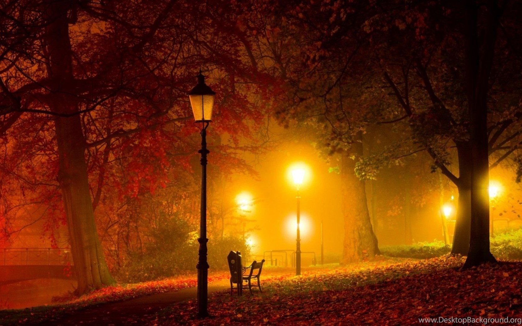 Warm Summer Night Wallpapers Wallpaper Cave