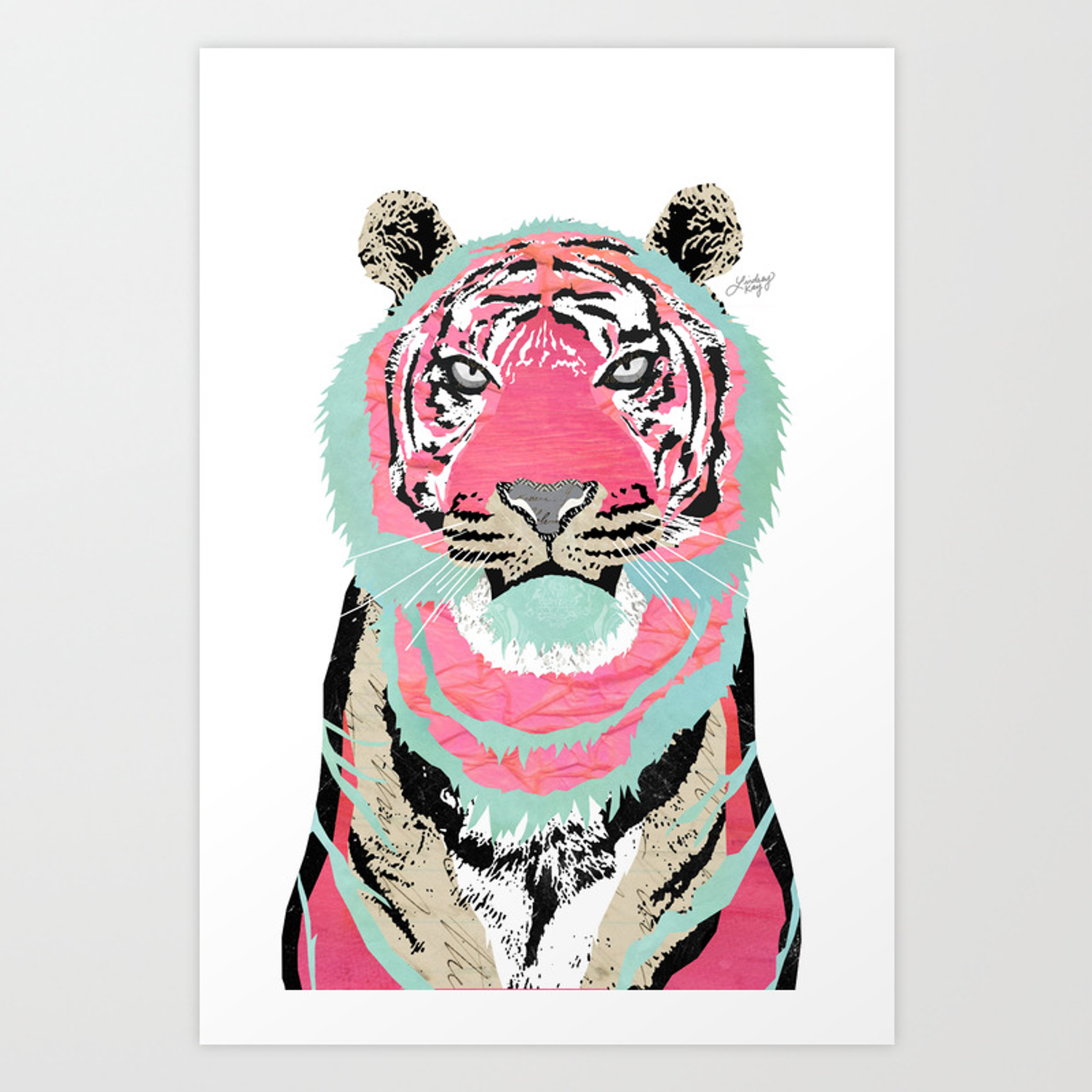 Pink Tiger Wallpapers Wallpaper Cave