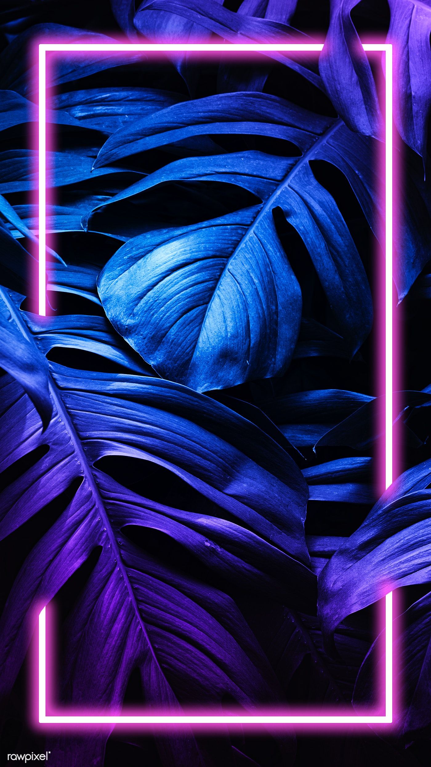 Neon iPhone 11 Wallpapers Wallpaper Cave