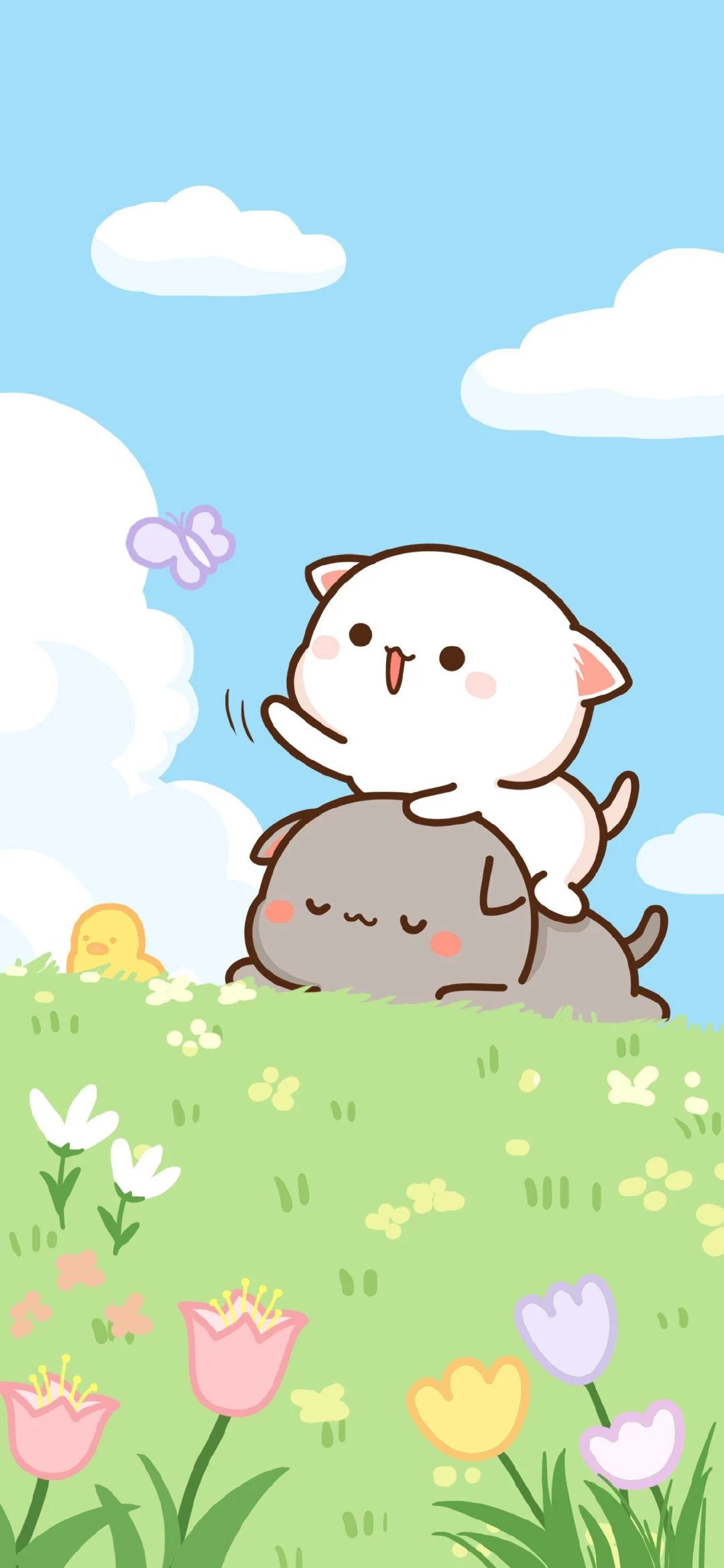 Cute Kawaii Cats Wallpapers Wallpaper Cave