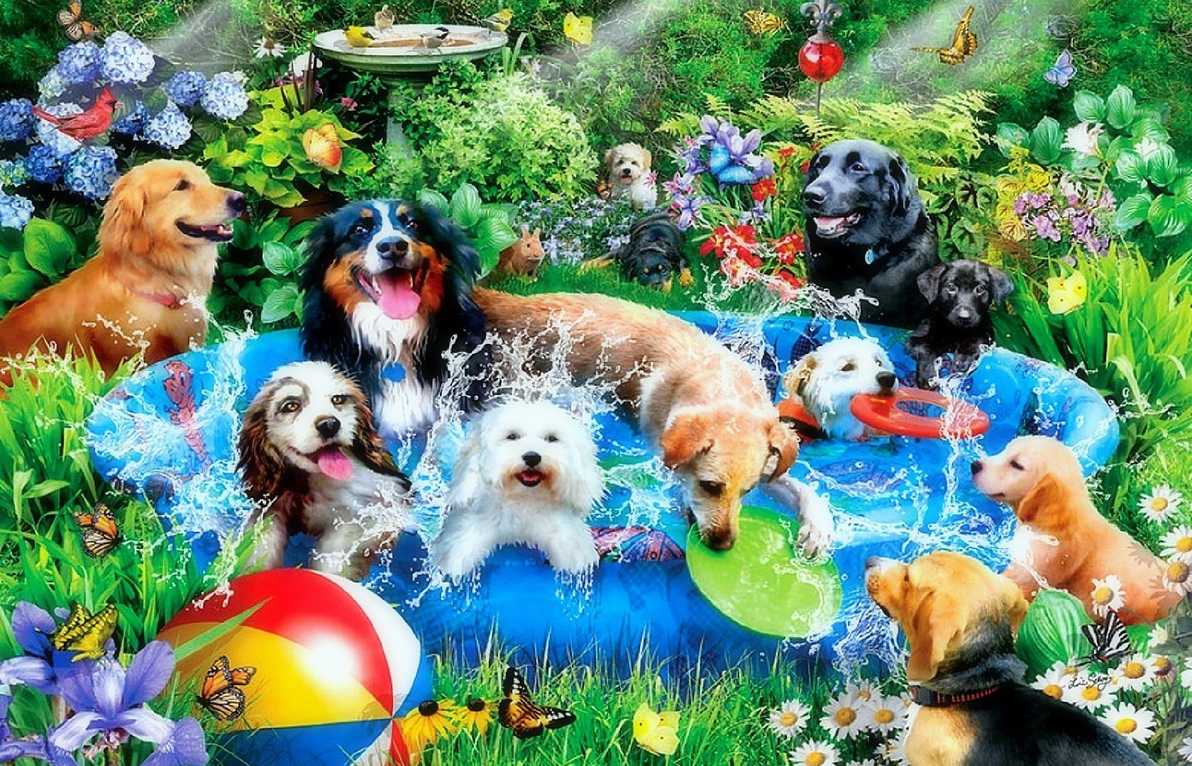 Summer Puppies Wallpapers Wallpaper Cave