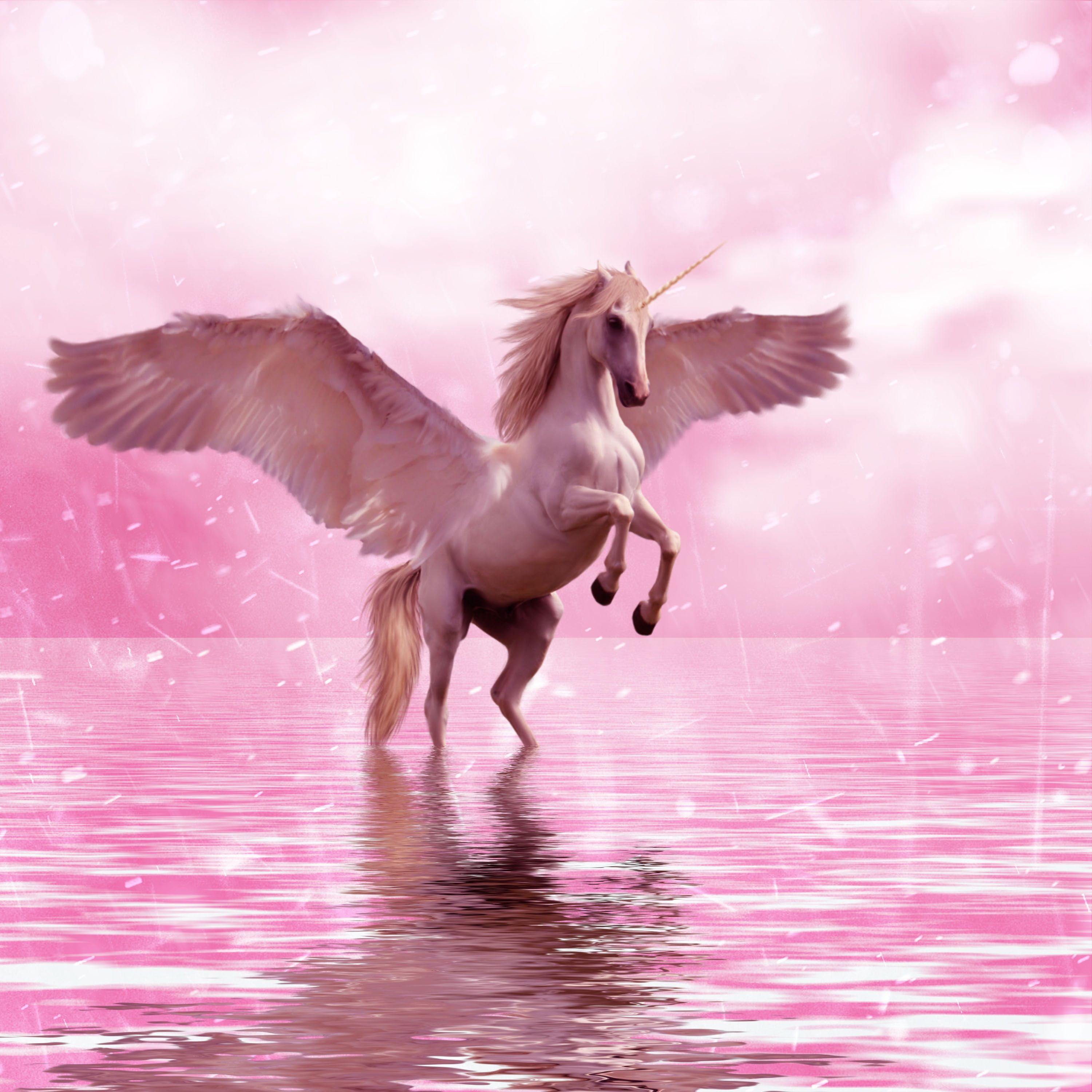 Pink Horse Wallpapers Wallpaper Cave