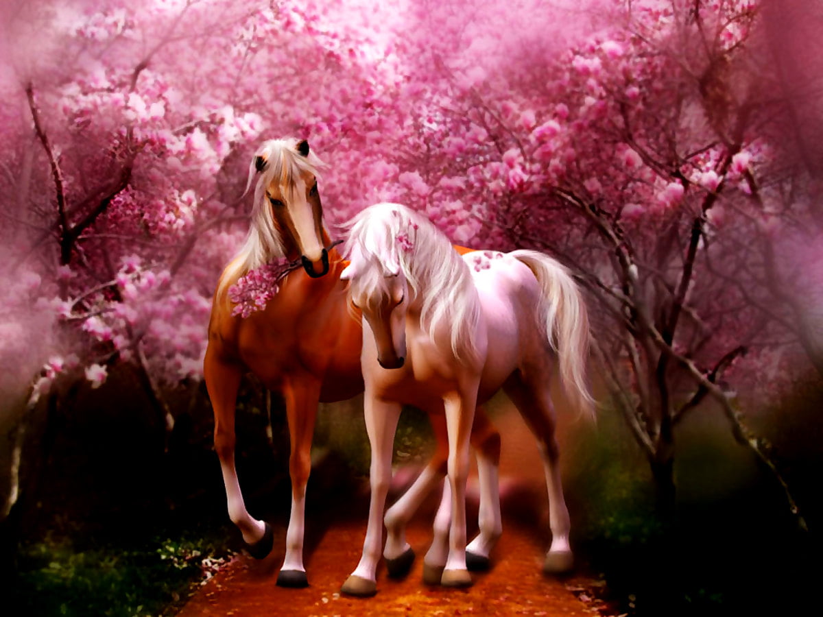 Pink Horse Wallpapers Wallpaper Cave
