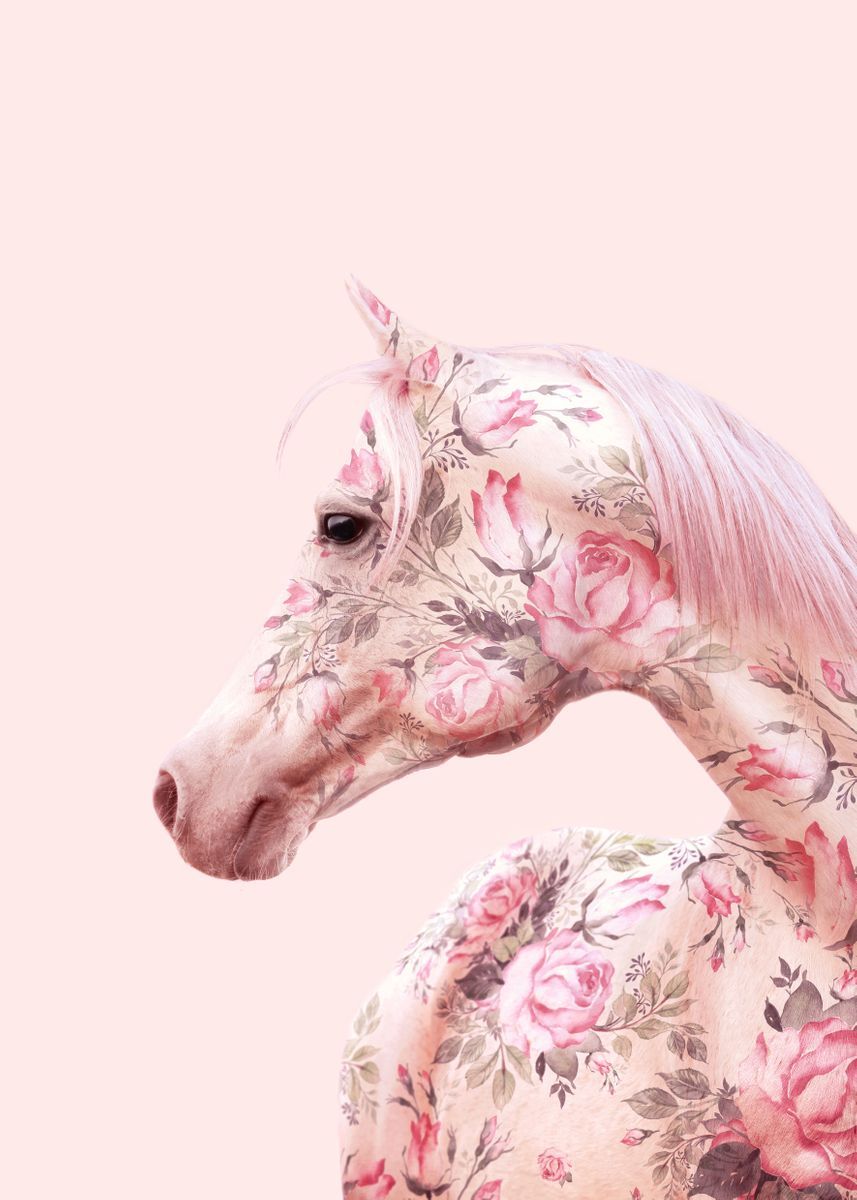 Pink Horse Wallpapers Wallpaper Cave