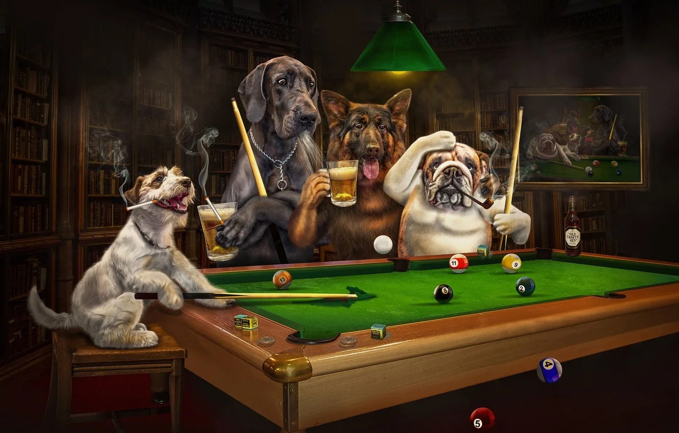 Dogs Playing Pool Wallpapers Wallpaper Cave