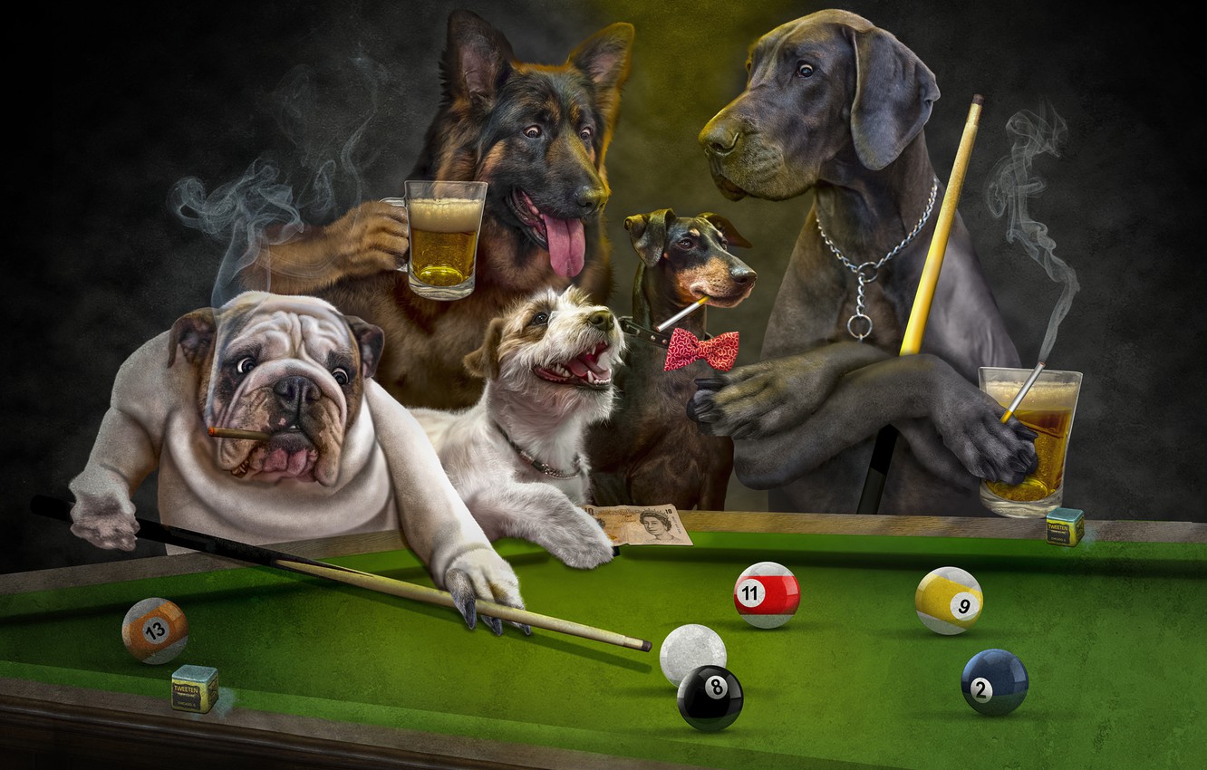 Dogs Playing Pool