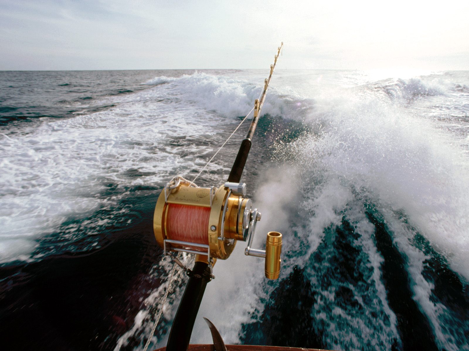 Deep Sea Fishing Wallpapers Wallpaper Cave