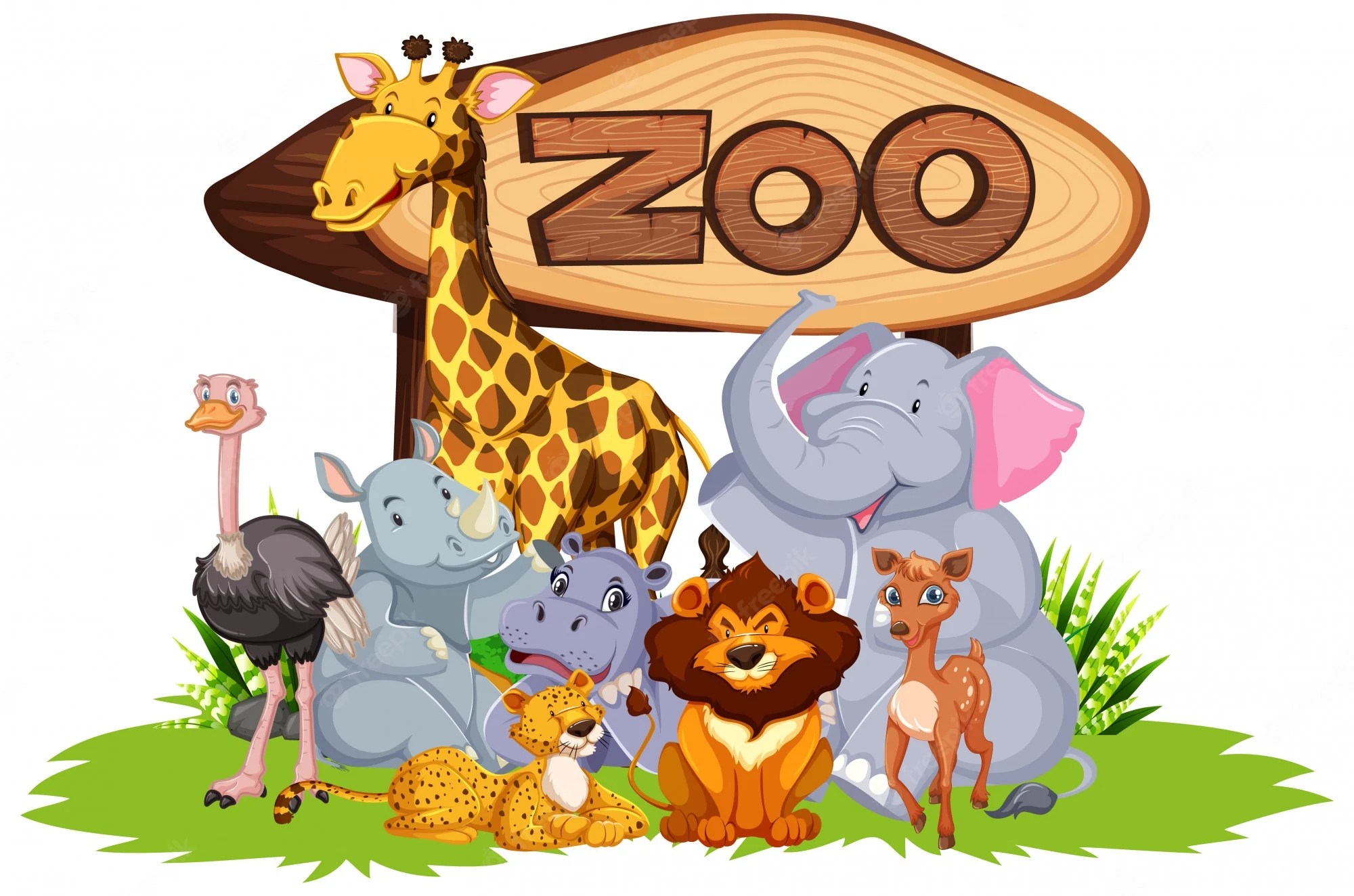Zoo Cartoon Wallpapers Wallpaper Cave