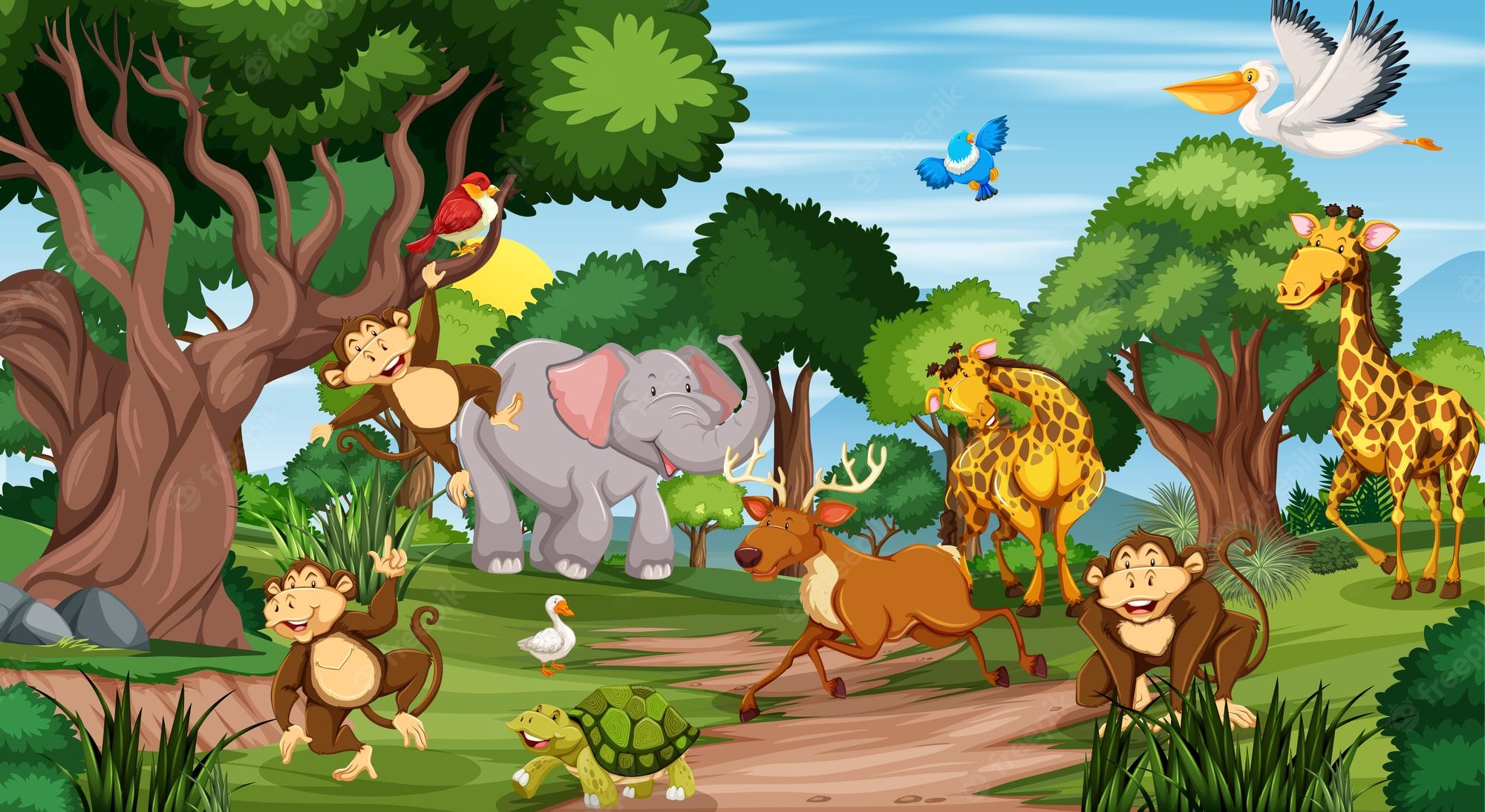 Zoo Cartoon Wallpapers Wallpaper Cave