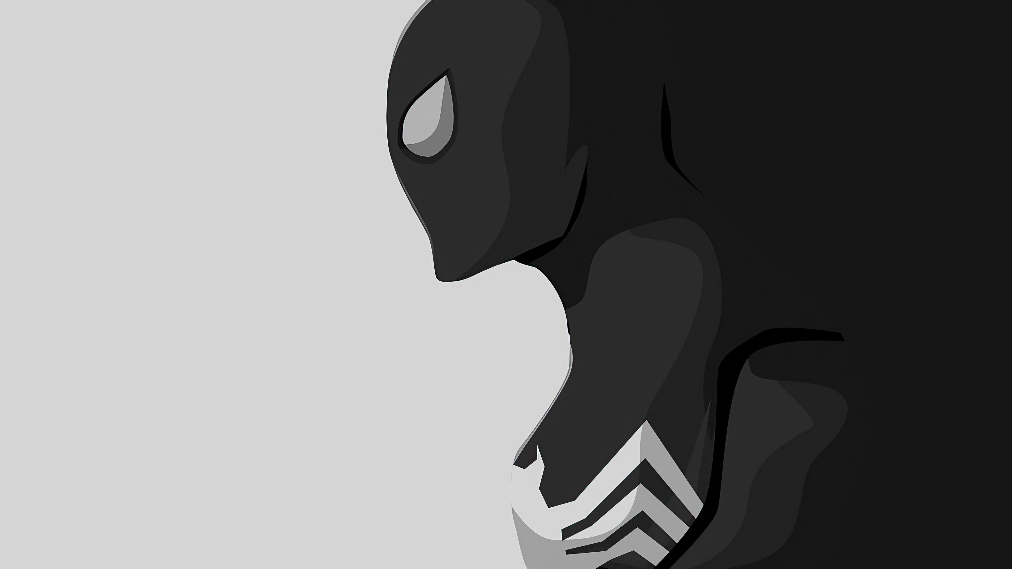Black Spiderman Cartoon Wallpaper