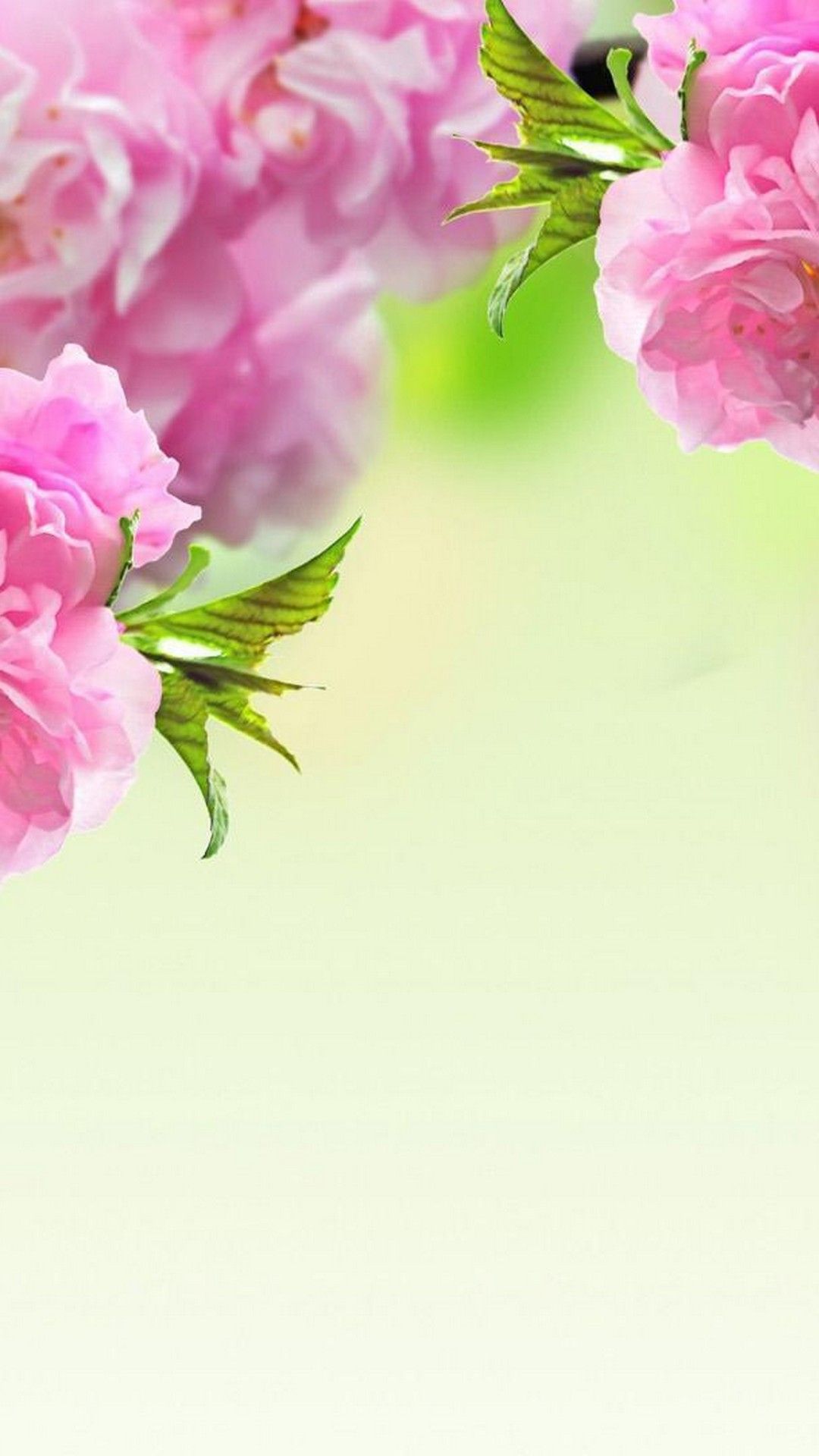 Cute Spring Flower Wallpapers Wallpaper Cave
