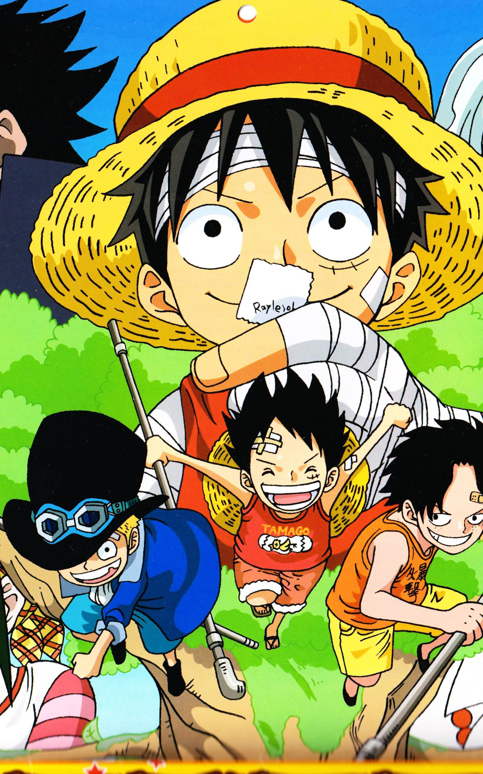 One Piece iPhone 12 Pro Max Wallpapers Wallpaper Cave