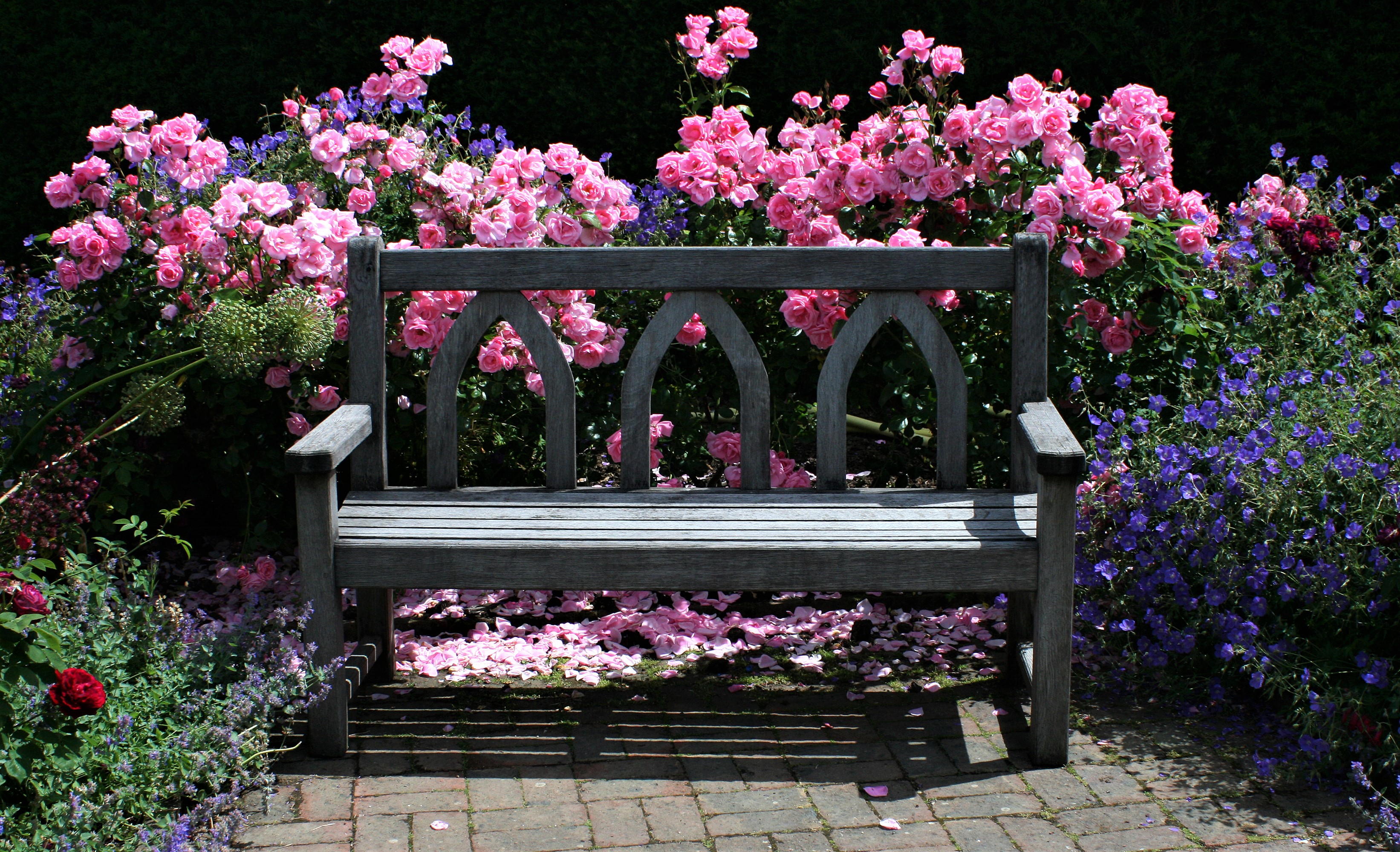 Garden Bench Wallpapers - Wallpaper Cave