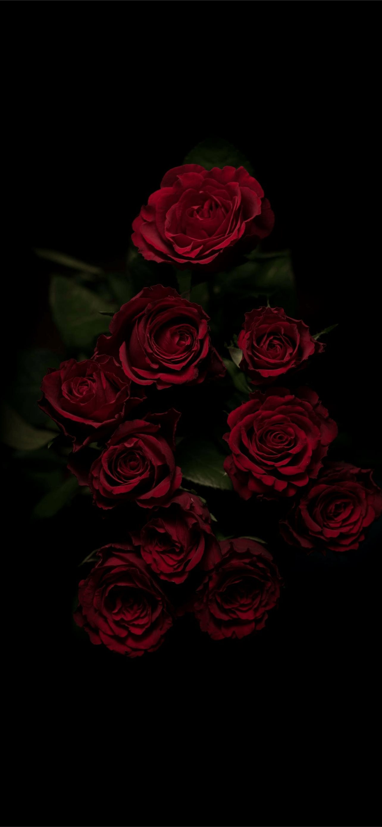 Black Aesthetic Rose Wallpapers Wallpaper Cave