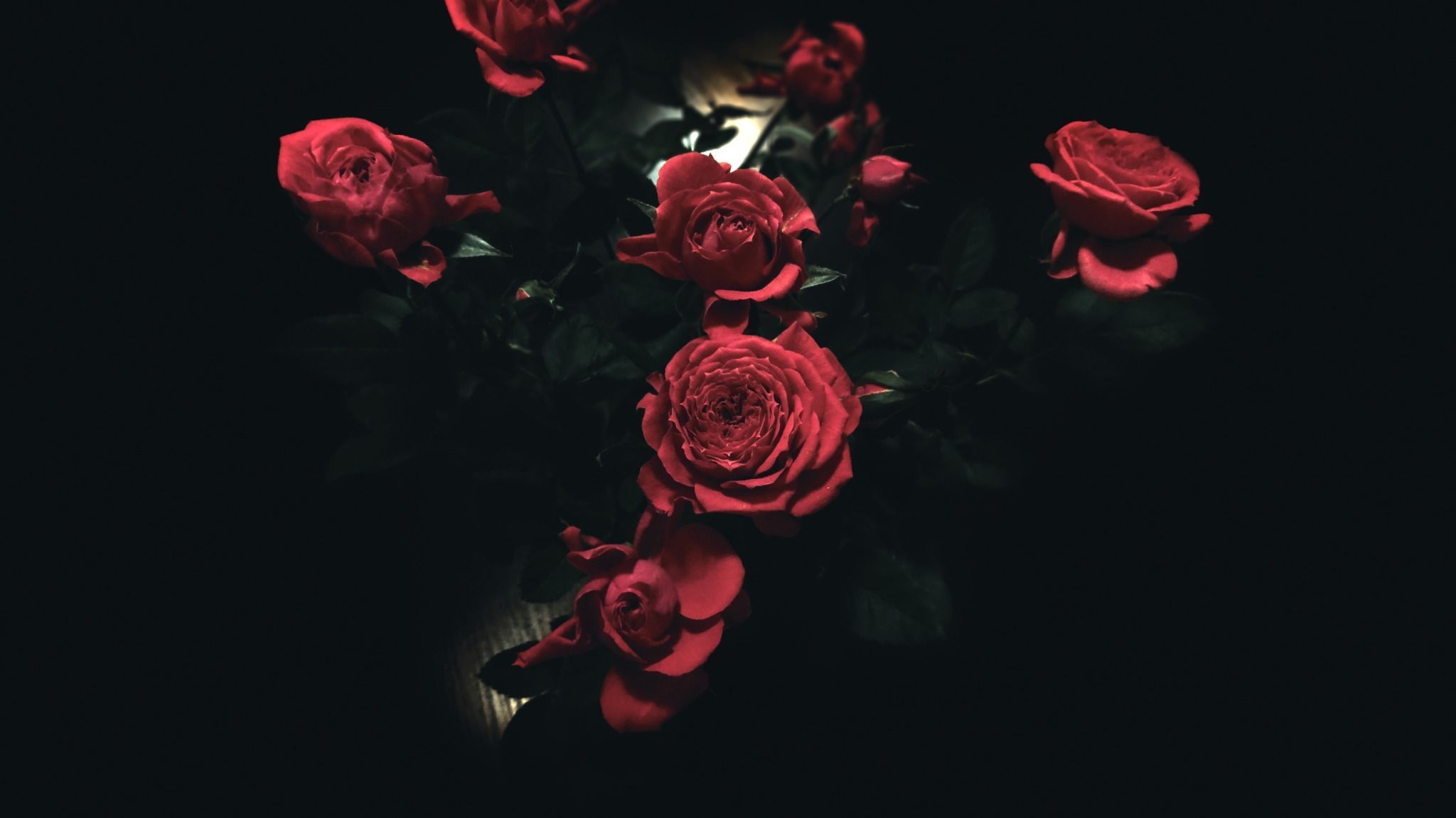 Black Aesthetic Rose Wallpapers Wallpaper Cave