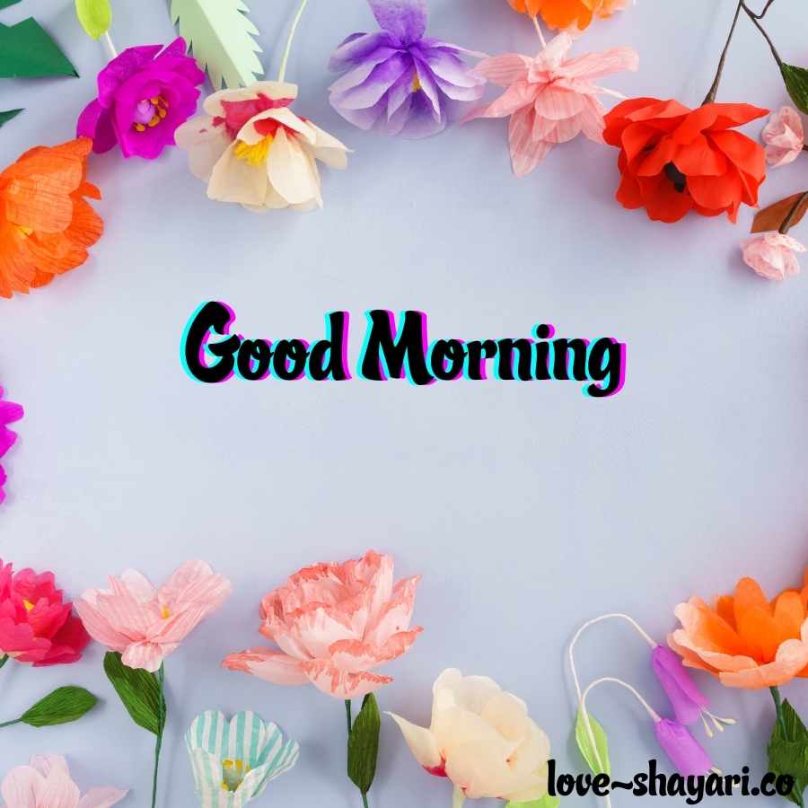 Morning Flowers Wallpapers Wallpaper Cave