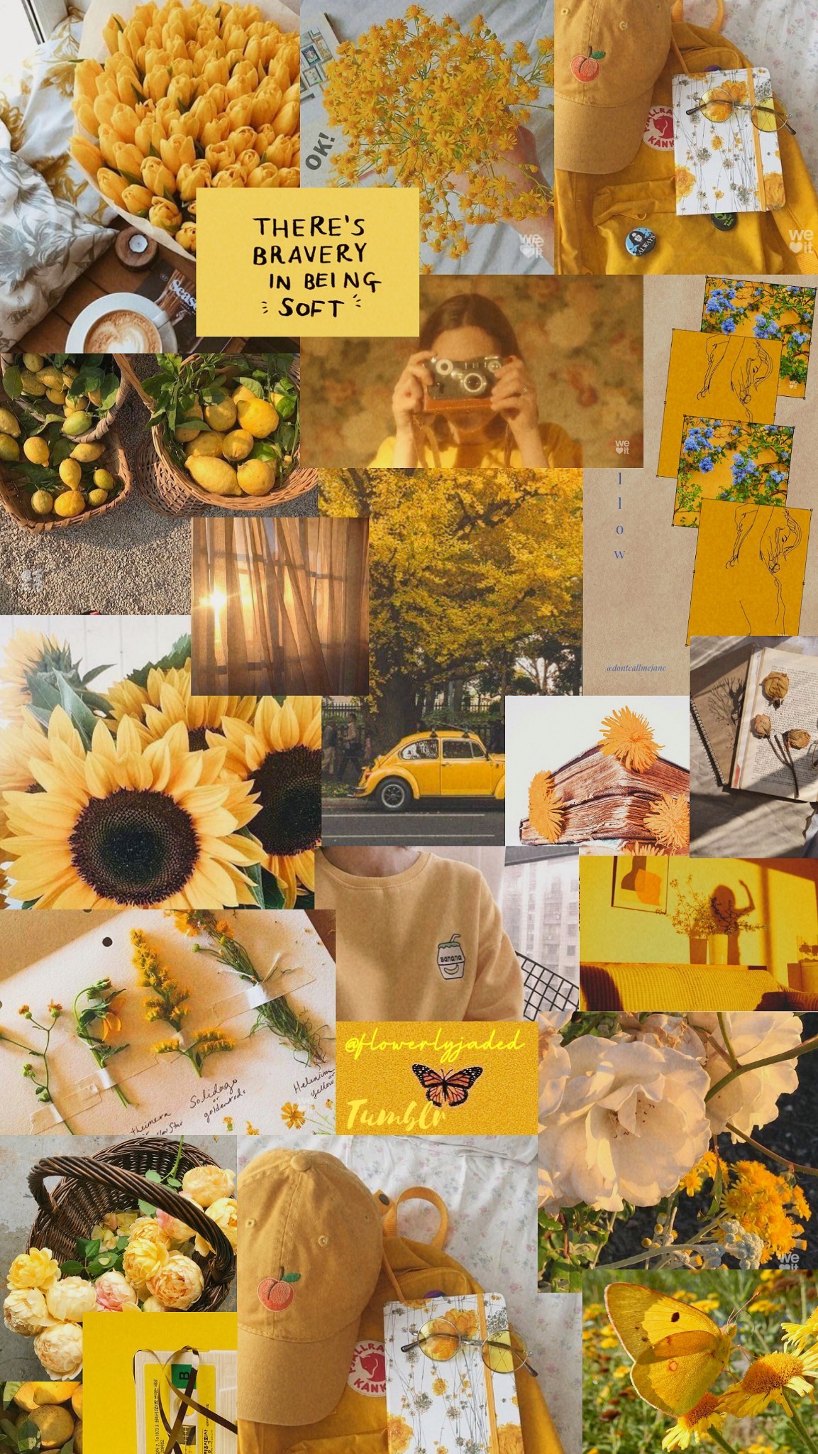 Sunflower Collage Wallpapers Wallpaper Cave