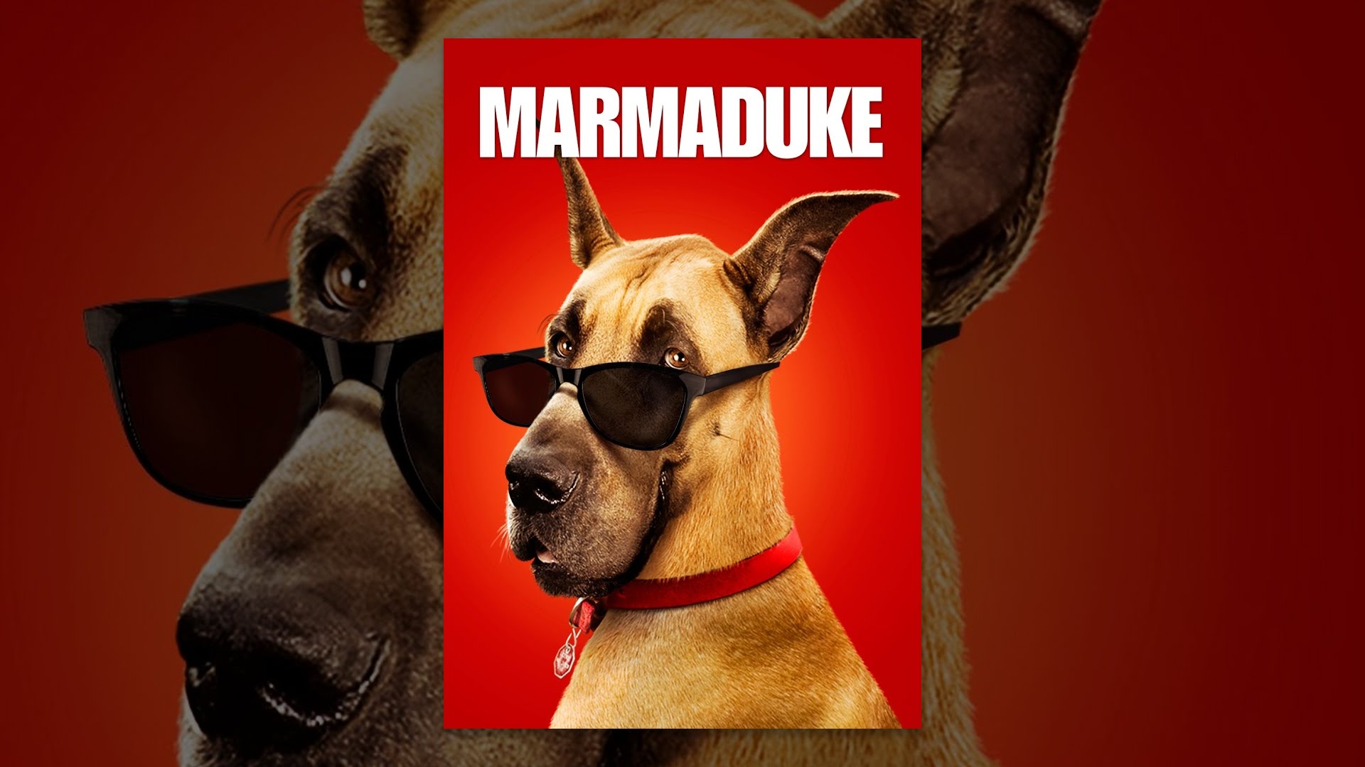 Marmaduke Wallpapers Wallpaper Cave