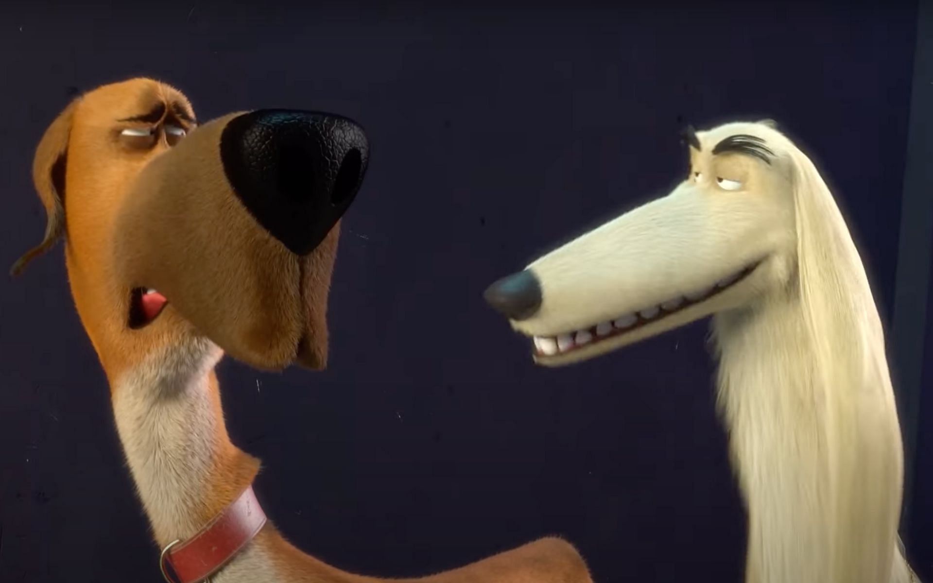 Marmaduke Netflix Wallpapers Wallpaper Cave