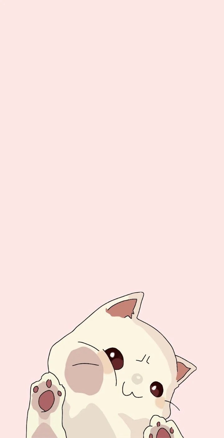 Pink Cats Anime Wallpapers Wallpaper Cave