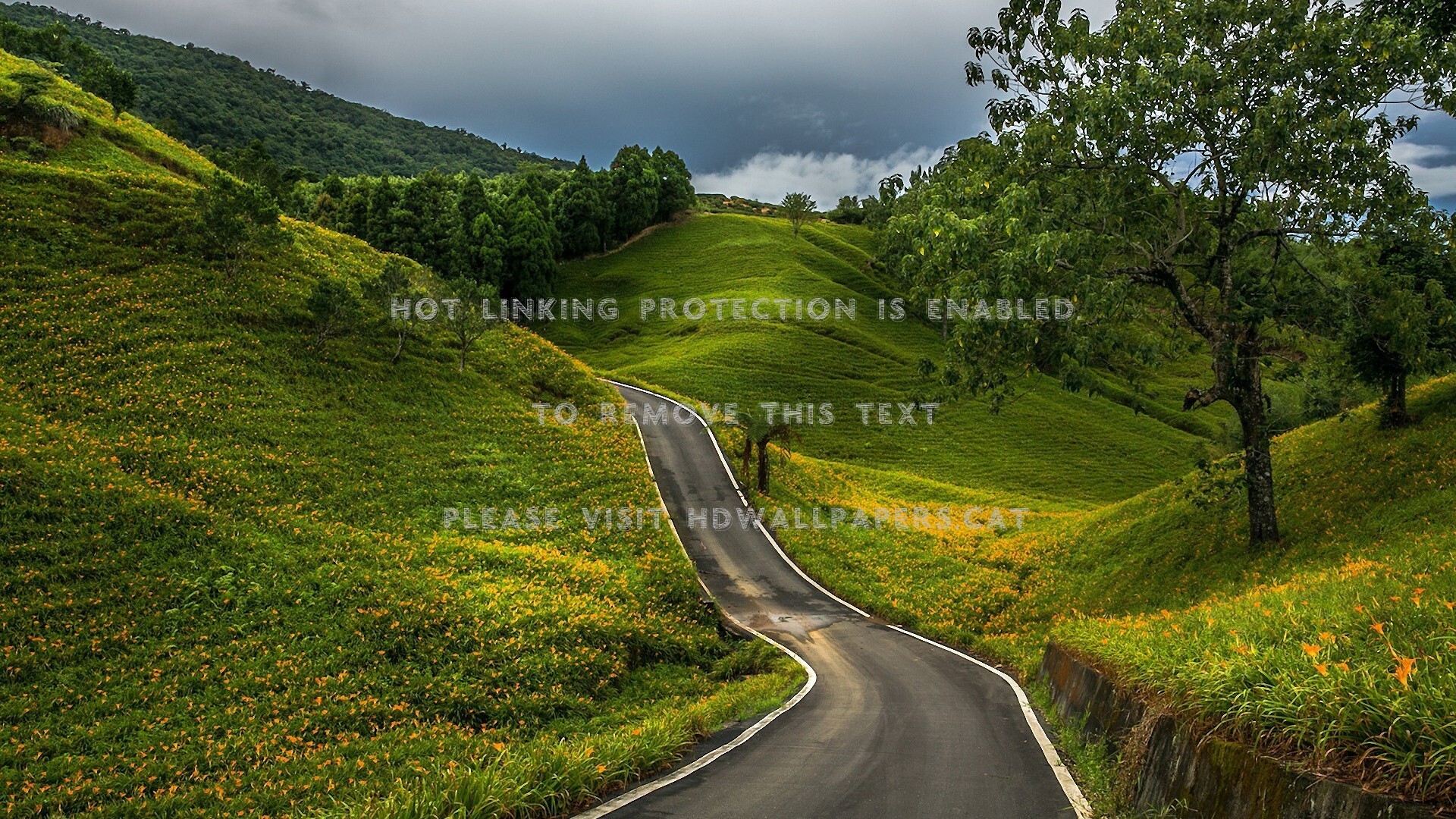 Winding Road Wallpapers Wallpaper Cave