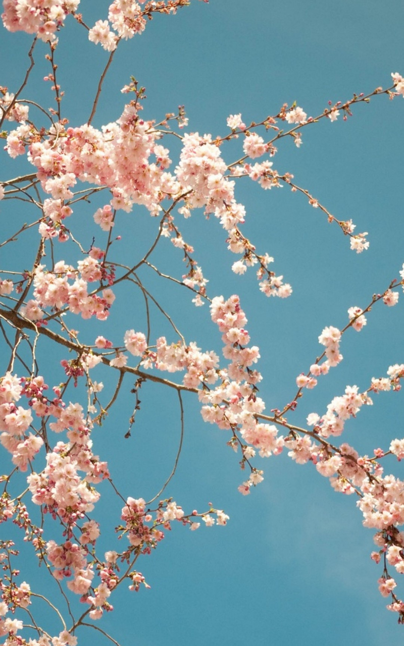 Spring Cozy Wallpapers Wallpaper Cave