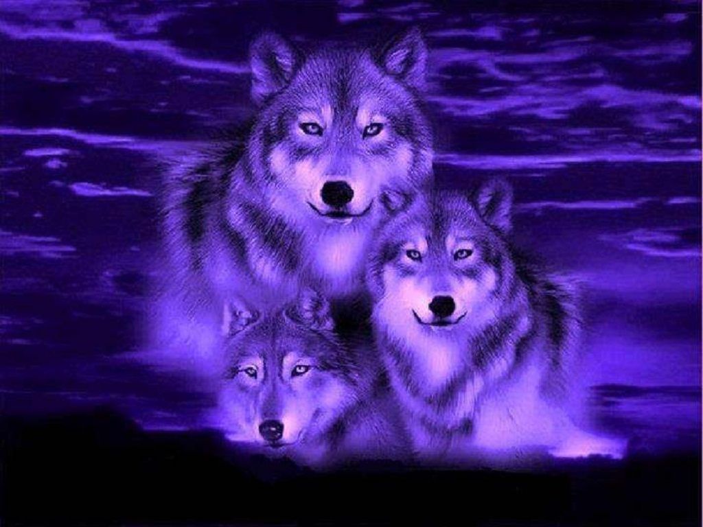 Purple Wolves Wallpapers Wallpaper Cave