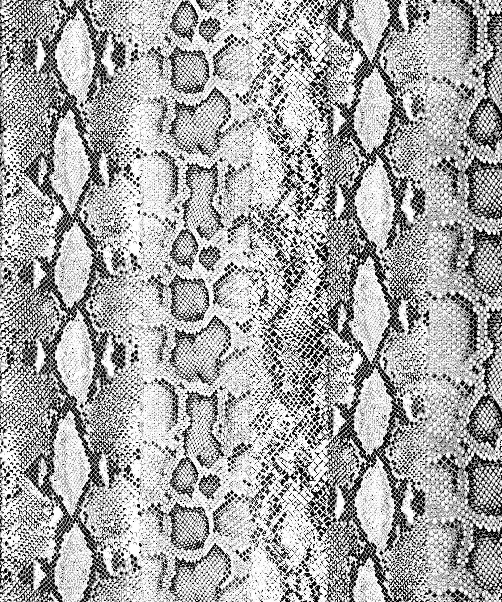 Snake Print Wallpapers Wallpaper Cave