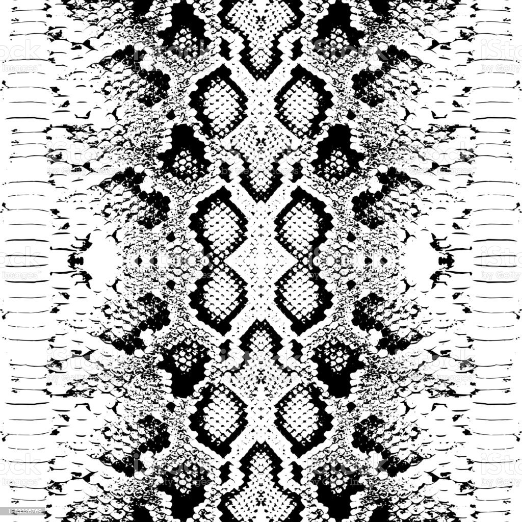 Snake Print Wallpapers Wallpaper Cave