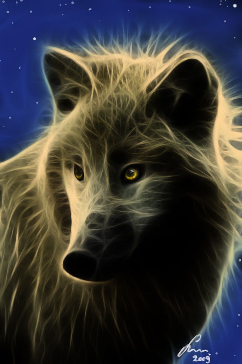 Golden Wolf Wallpapers Wallpaper Cave