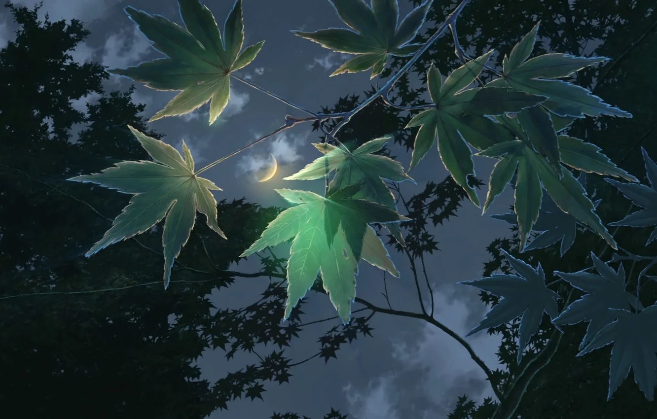 Anime Leaves Wallpapers Wallpaper Cave