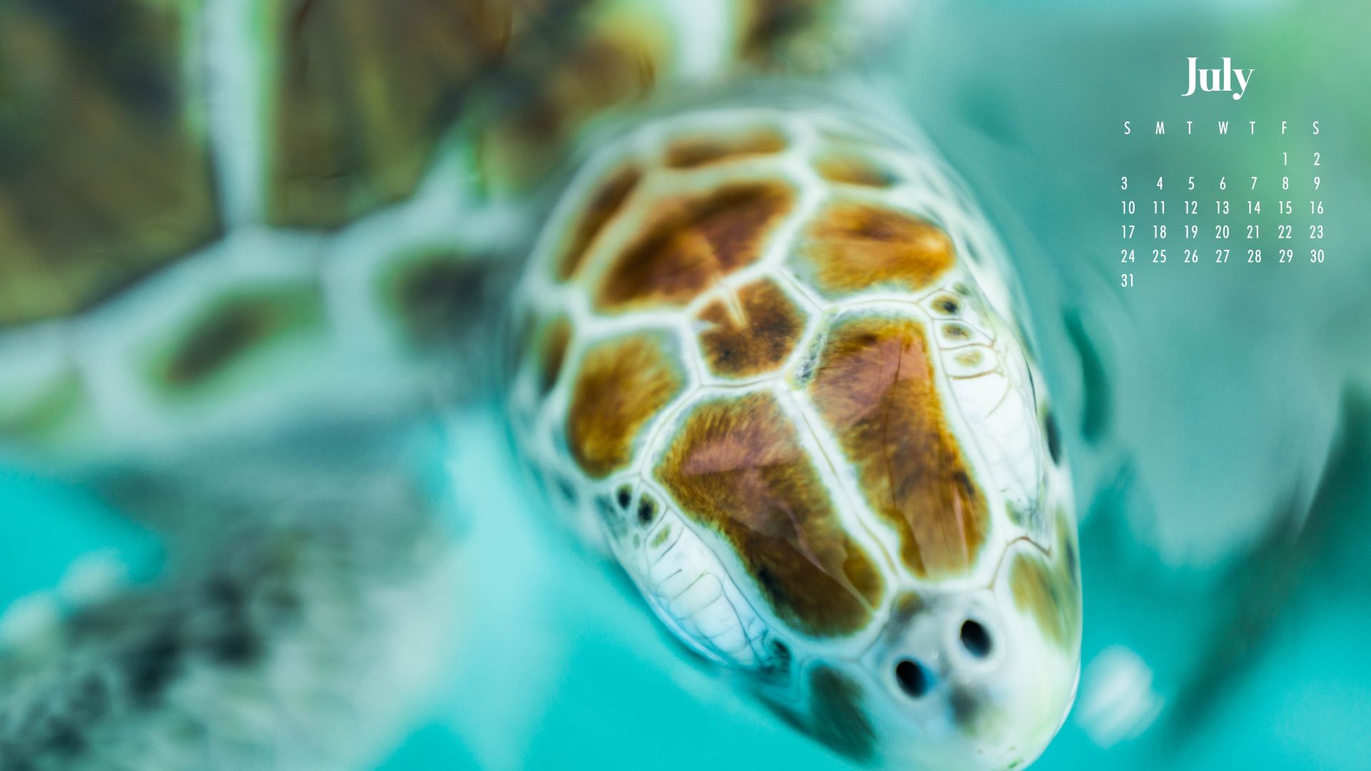 Update more than 76 july 2022 calendar desktop wallpaper super hot in